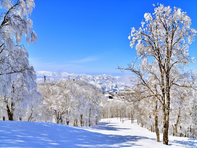 スキー旅行の魅力と楽しみ方